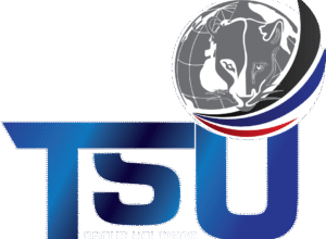 TSU Protection Services: Security Learnership in Centurion 2025 for Unemployed Youth