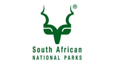 Job vacancy announcement for a handyman position at Table Mountain National Park by SANParks.